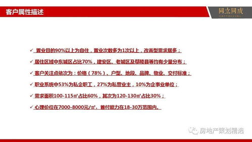 房地产营销策划与信息咨询全面解决方案
