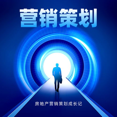 房地产营销策划成长记 从拓荒时代到精细化运营的蜕变之路