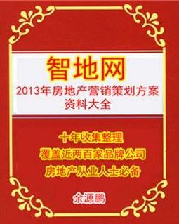 房地产营销策划与信息咨询全攻略 从策略到执行